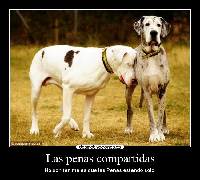 Las penas compartidas - No son tan malas que las Penas estando solo.