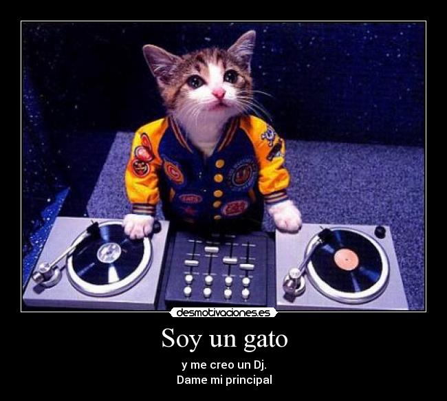 Soy un gato -