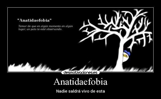 Anatidaefobia -