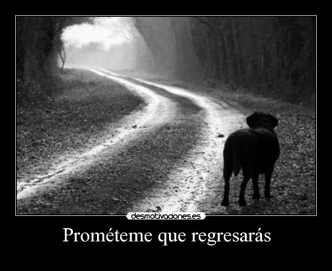 Prométeme que regresarás -