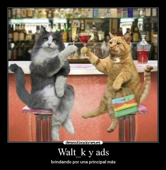 Walt_k y ads - 