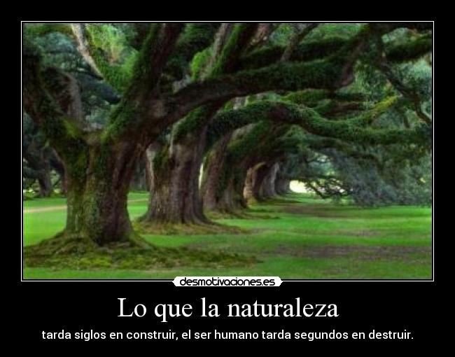 carteles naturaleza que naturaleza desmotivaciones