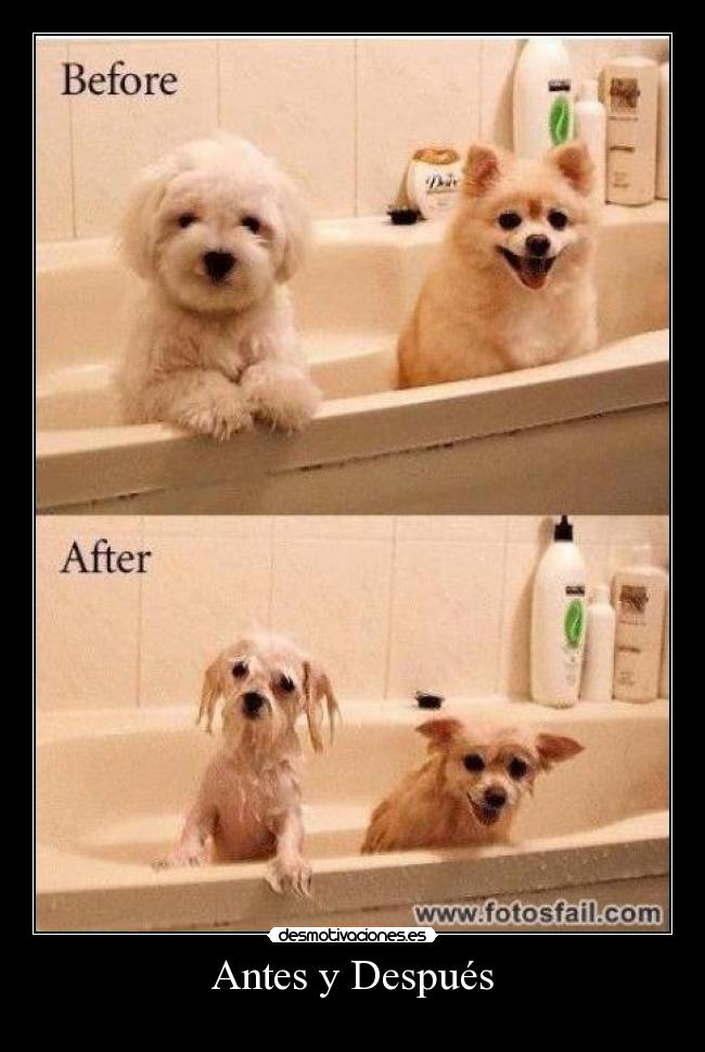 Antes y Después -