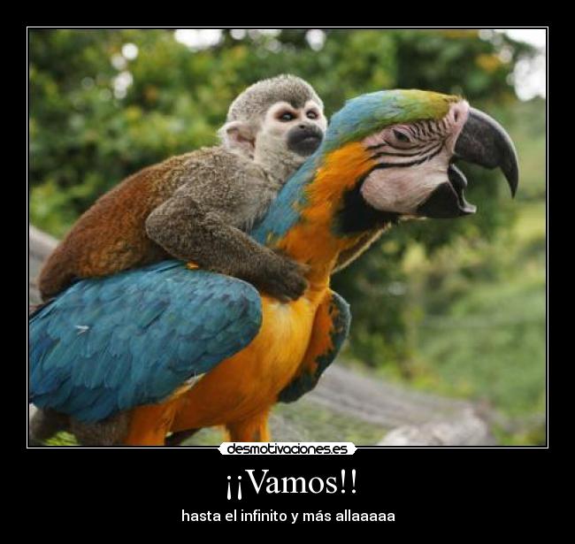 ¡¡Vamos!! - 