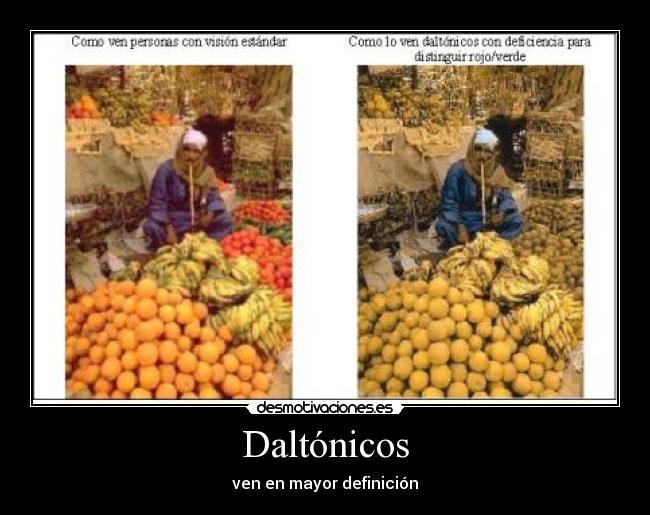 Daltónicos - 