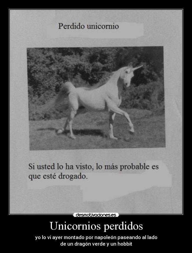 Unicornios perdidos - 