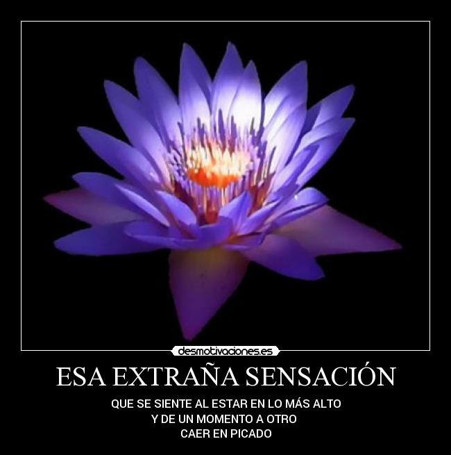 ESA EXTRAÑA SENSACIÓN - QUE SE SIENTE AL ESTAR EN LO MÁS ALTO
Y DE UN MOMENTO A OTRO 
CAER EN PICADO