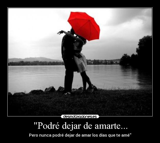 Podré dejar de amarte... - Pero nunca podré dejar de amar los días que te amé
