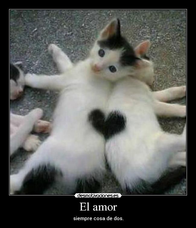 El amor - 