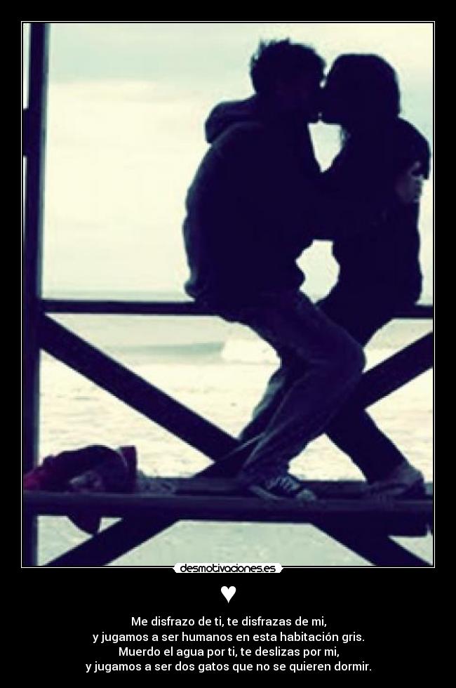 ♥ - Me disfrazo de ti, te disfrazas de mi,
y jugamos a ser humanos en esta habitación gris.
Muerdo el agua por ti, te deslizas por mi,
y jugamos a ser dos gatos que no se quieren dormir.