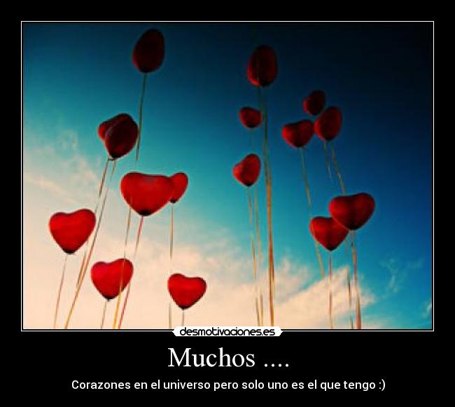 Muchos .... - 