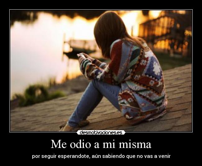 carteles odio amor desmotivaciones