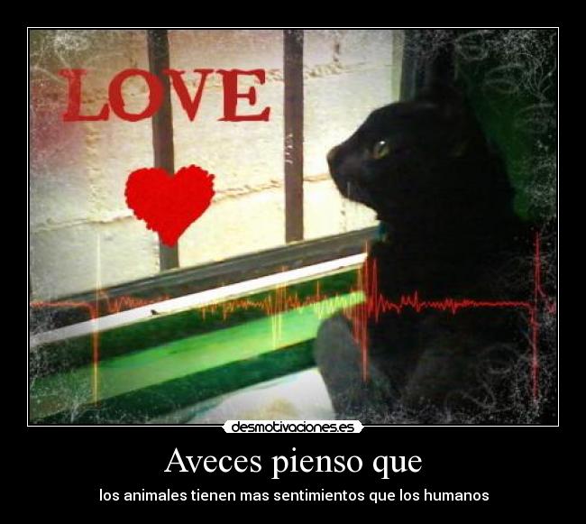 Aveces pienso que - los animales tienen mas sentimientos que los humanos