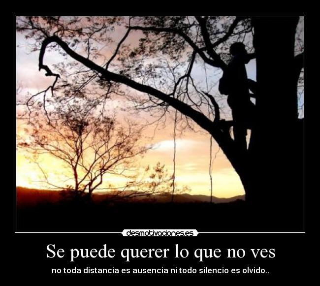 Se puede querer lo que no ves - no toda distancia es ausencia ni todo silencio es olvido..