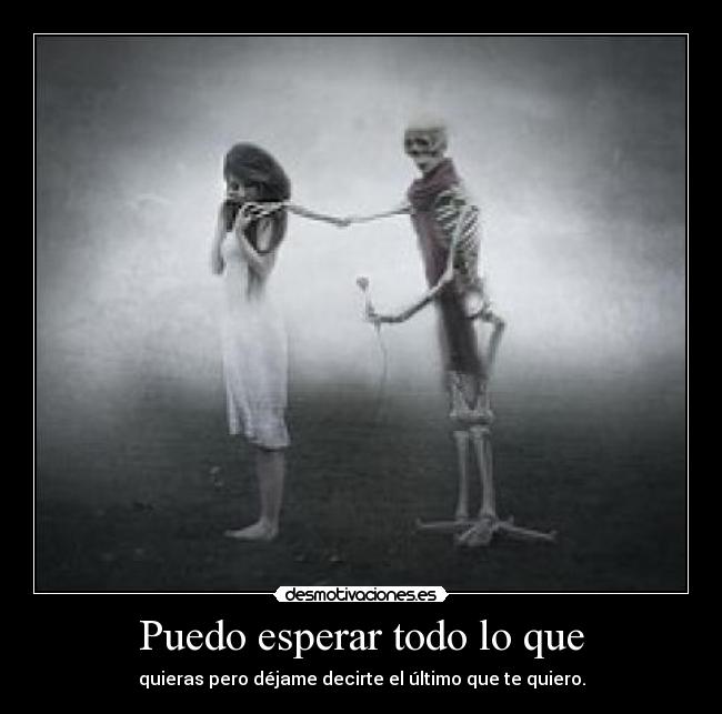 carteles amoree desmotivaciones