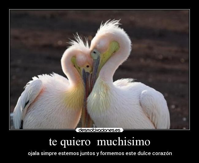 te quiero muchisimo - ojala simpre estemos juntos y formemos este dulce corazón