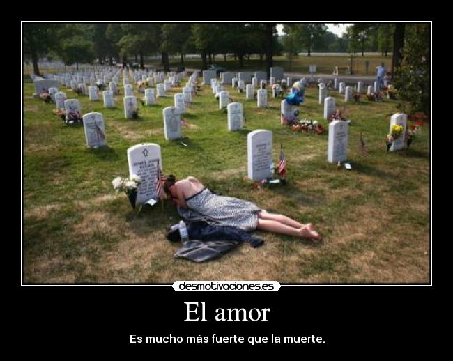 El amor - 