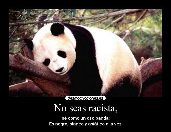 No seas racista, - sé como un oso panda:
Es negro, blanco y asiático a la vez.