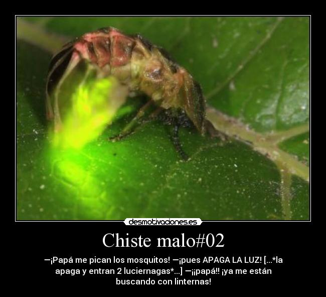 Chiste malo#02 - —¡Papá me pican los mosquitos! —¡pues APAGA LA LUZ! [...*la
apaga y entran 2 luciernagas*...] —¡¡papá!! ¡ya me están
buscando con linternas!
