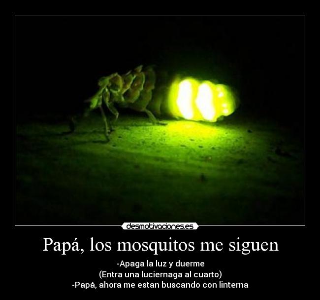Papá, los mosquitos me siguen - 