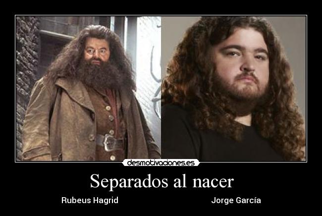 Separados al nacer - 