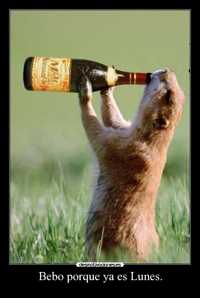 Bebo porque ya es Lunes. -