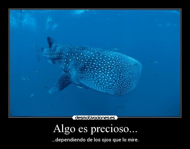 Algo es precioso... - ...dependiendo de los ojos que lo mire.