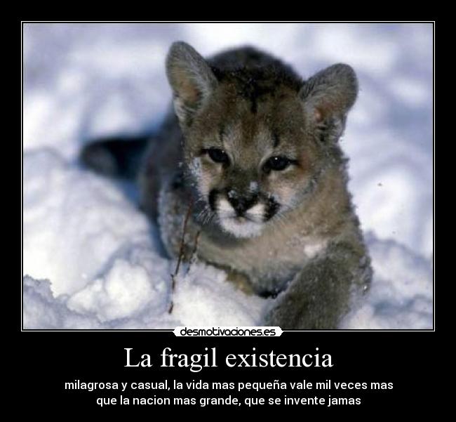 La fragil existencia - milagrosa y casual, la vida mas pequeña vale mil veces mas
que la nacion mas grande, que se invente jamas