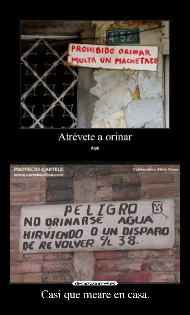 Casi que meare en casa. -