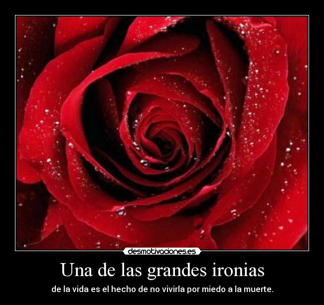 Una de las grandes ironias - 