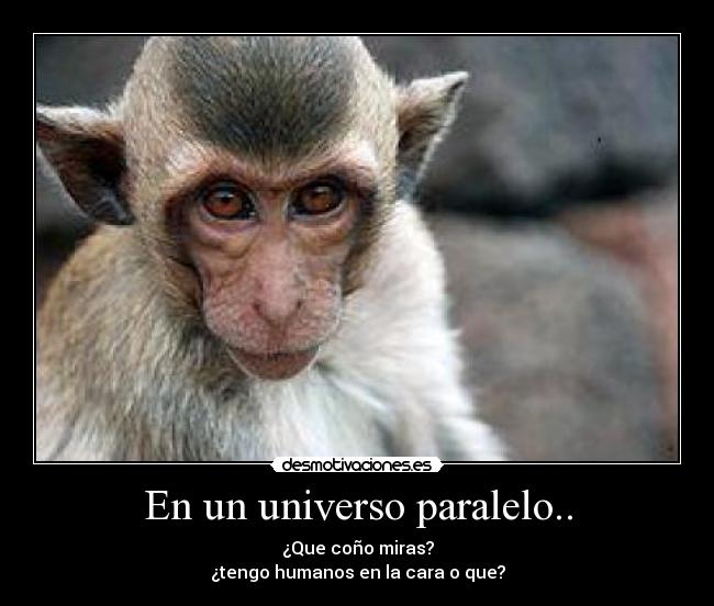En un universo paralelo.. - 