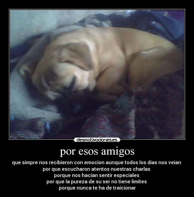 por esos amigos - que simpre nos recibieron con emocion aunque todos los dias nos veian
por que escucharon atentos nuestras charlas
porque nos hacían sentir especiales
por que la pureza de su ser no tiene limites
porque nunca te ha de traicionar