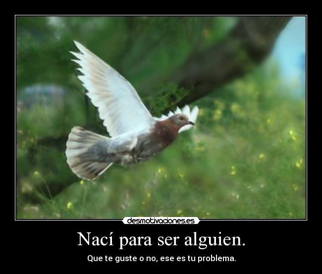 Nací para ser alguien. - Que te guste o no, ese es tu problema.