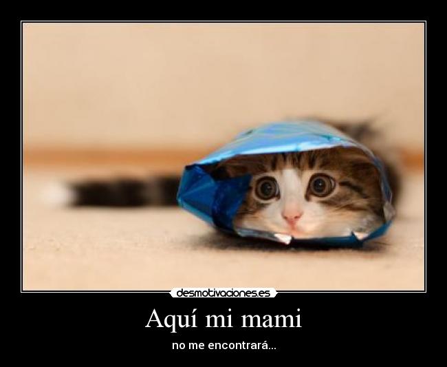 Aquí mi mami -