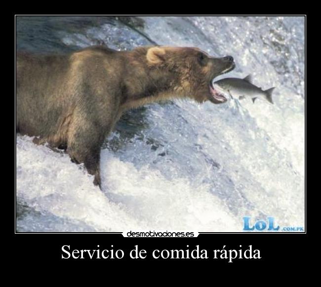 carteles comida animales desmotivaciones