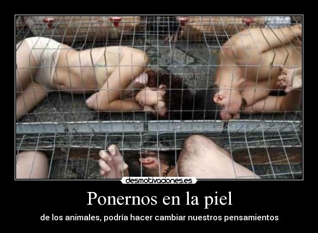 Ponernos en la piel - 