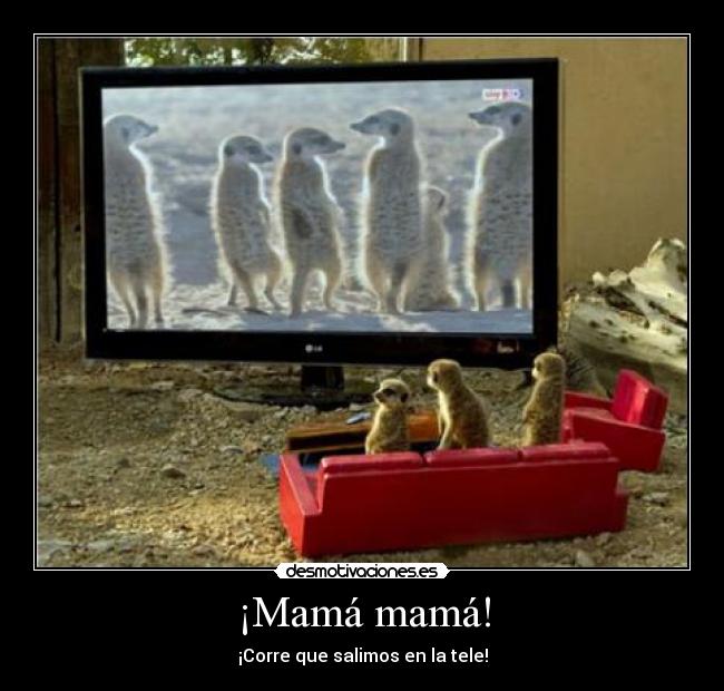 ¡Mamá mamá! - ¡Corre que salimos en la tele!