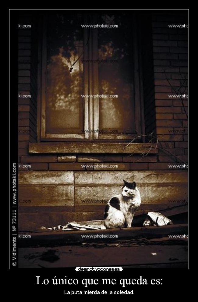 Lo único que me queda es: - 