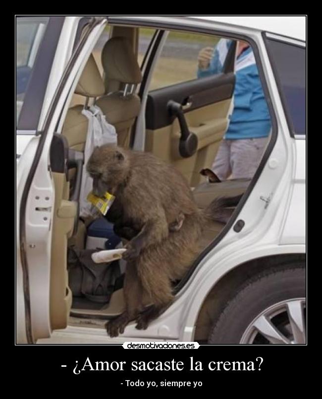 - ¿Amor sacaste la crema? -
