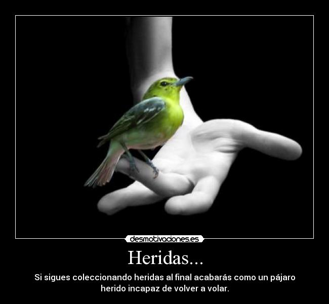 Heridas... - Si sigues coleccionando heridas al final acabarás como un pájaro
herido incapaz de volver a volar.