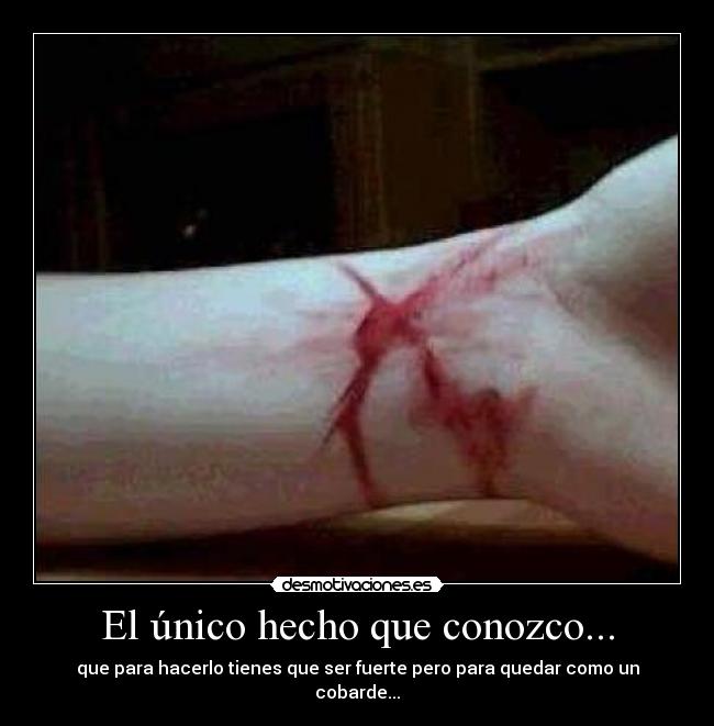 El único hecho que conozco... - que para hacerlo tienes que ser fuerte pero para quedar como un cobarde...