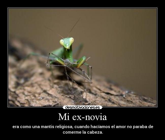 Mi ex-novia -