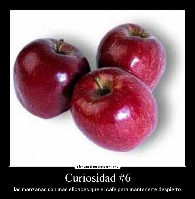Curiosidad #6 - las manzanas son más eficaces que el café para mantenerte despierto.