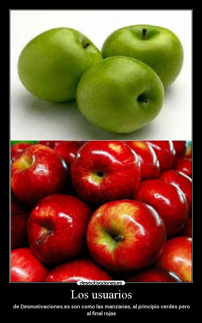 Los usuarios -