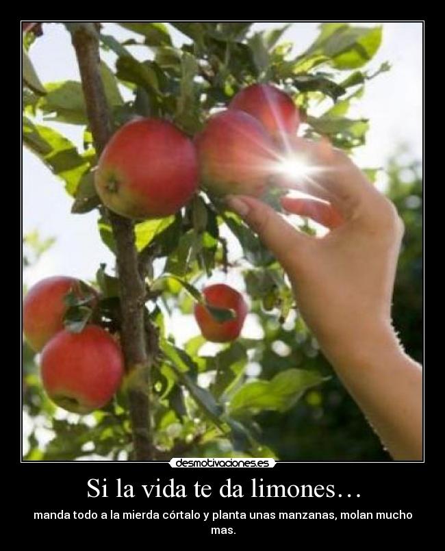 Si la vida te da limones… - manda todo a la mierda córtalo y planta unas manzanas, molan mucho mas.