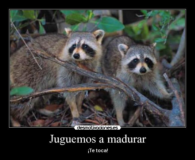 Juguemos a madurar -