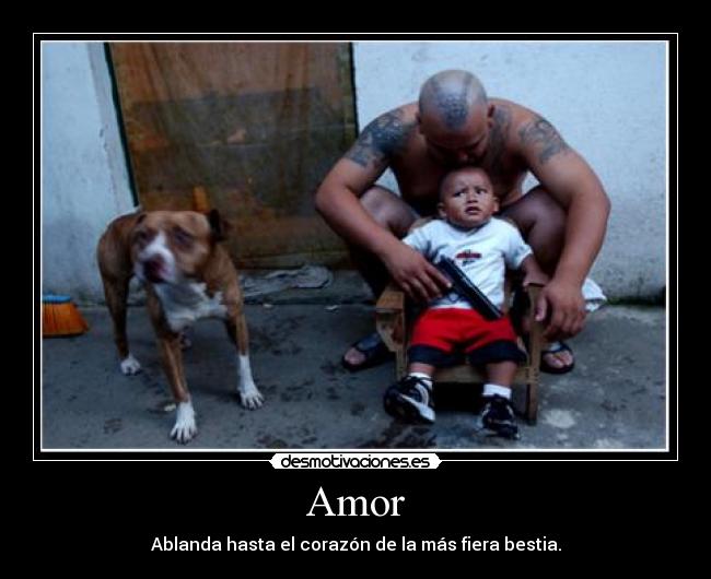 Amor - Ablanda hasta el corazón de la más fiera bestia.