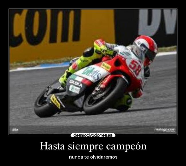 Hasta siempre campeón -