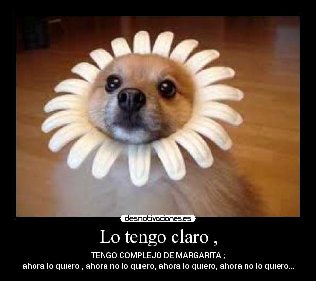 Lo tengo claro , - TENGO COMPLEJO DE MARGARITA ;
ahora lo quiero , ahora no lo quiero, ahora lo quiero, ahora no lo quiero...