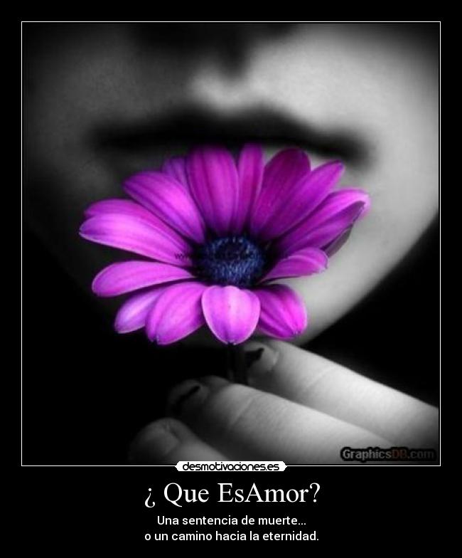 ¿ Que EsAmor? - Una sentencia de muerte...
o un camino hacia la eternidad.